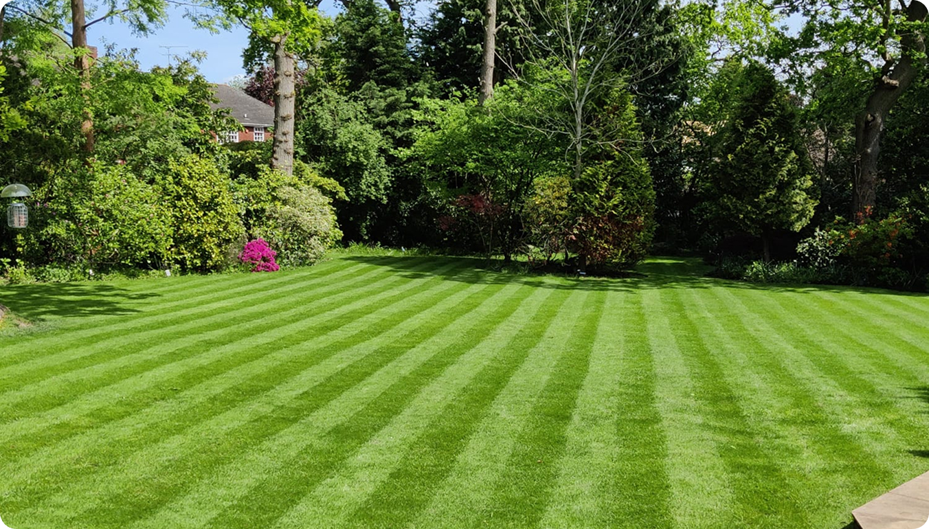 Gallery Image Landscaping X Webflow Template