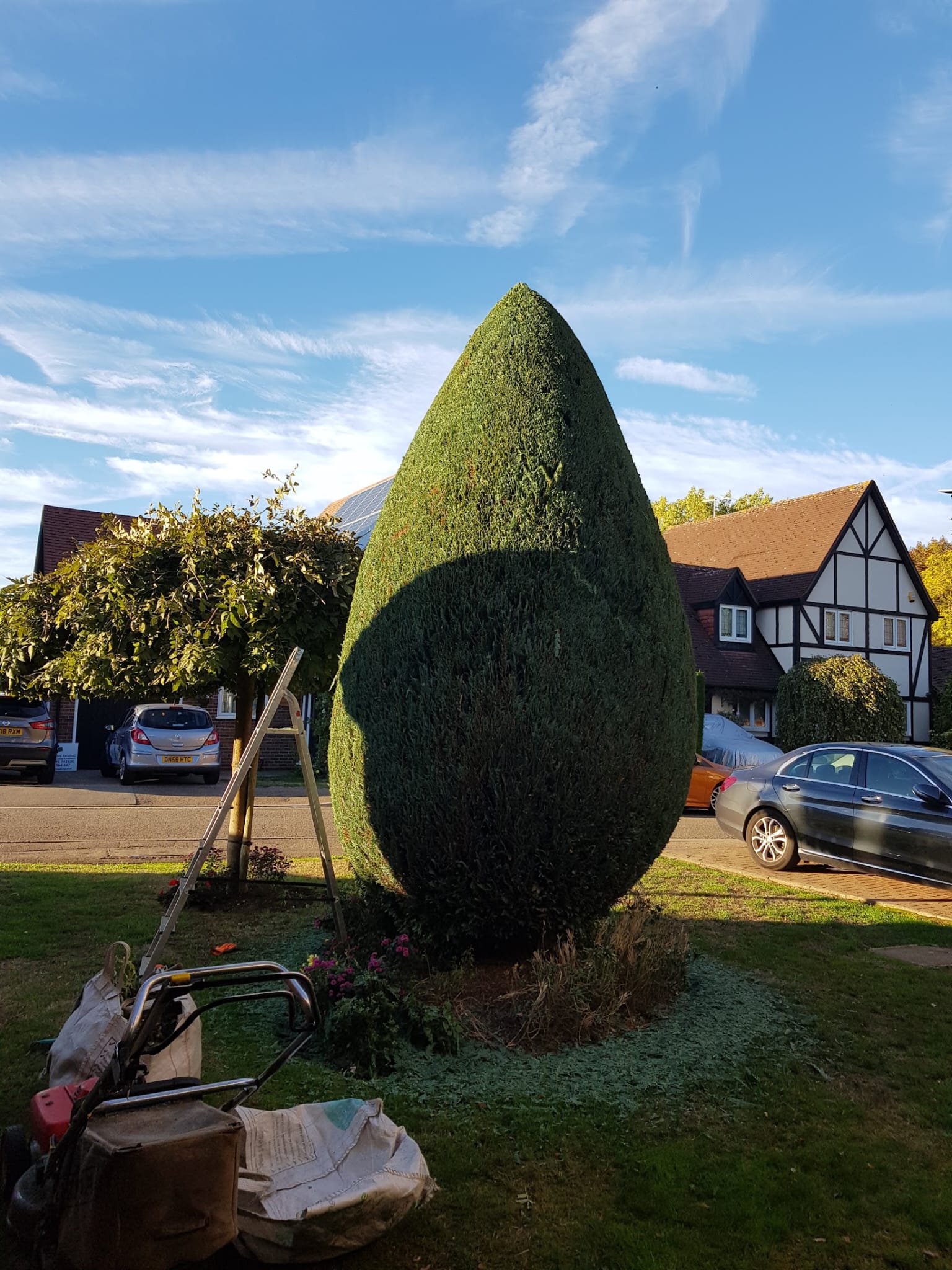 WhatsApp Image 2025 07 09 at 18.25