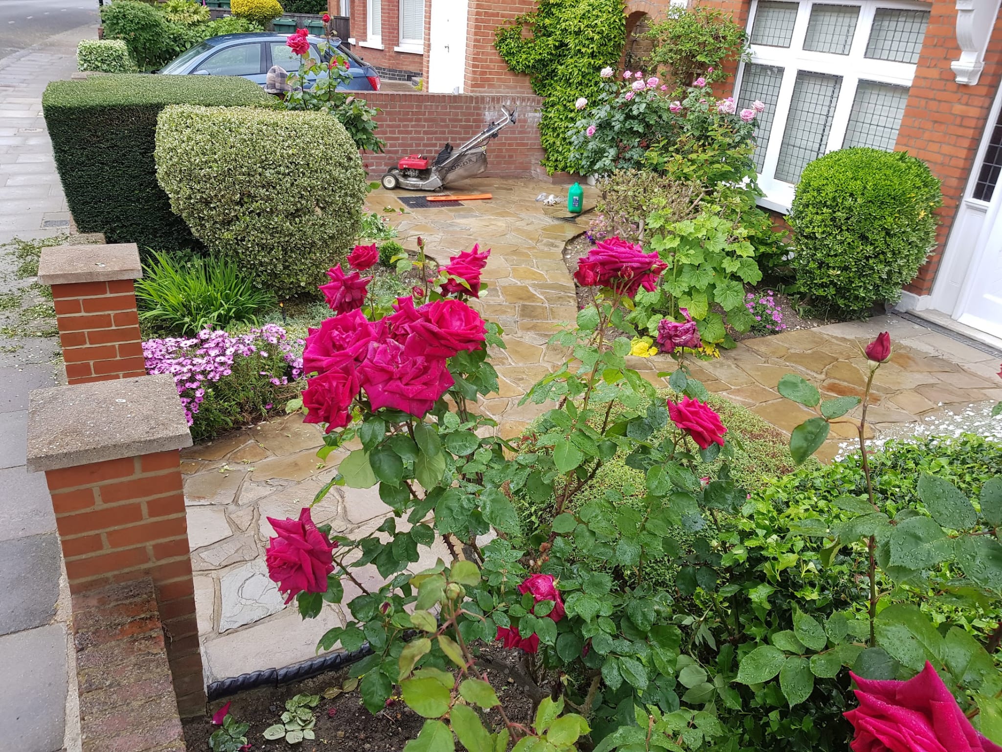 WhatsApp Image 2025 07 09 at 18.25