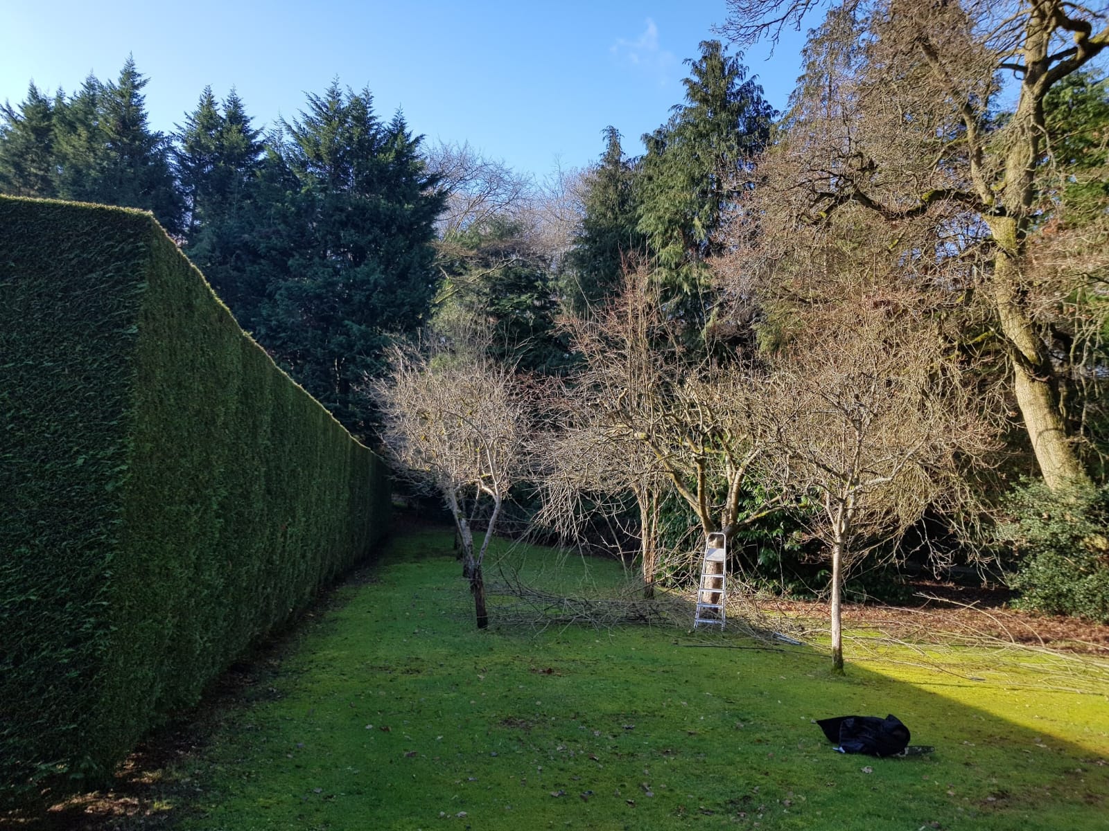 WhatsApp Image 2025 07 09 at 18.39